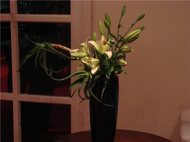 ikebana u mimari aloa